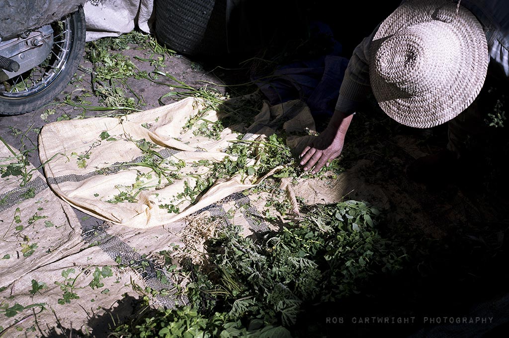 marrakesh maroc north africa street urban market trade fresh herbs food low sun shadows 50mm rob cartwright